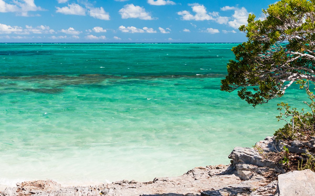 Rock House guests and residents will enjoy its 100 ft. long infinity pool, quarry pool, restaurant, fitness center, spa and more! Get details: bit.ly/2oK2cQO
#rockhouse #therockhouse #markdurliat #rockhouseresort #rockhousehotel #turksandcaicosresorts #turksandcaicos