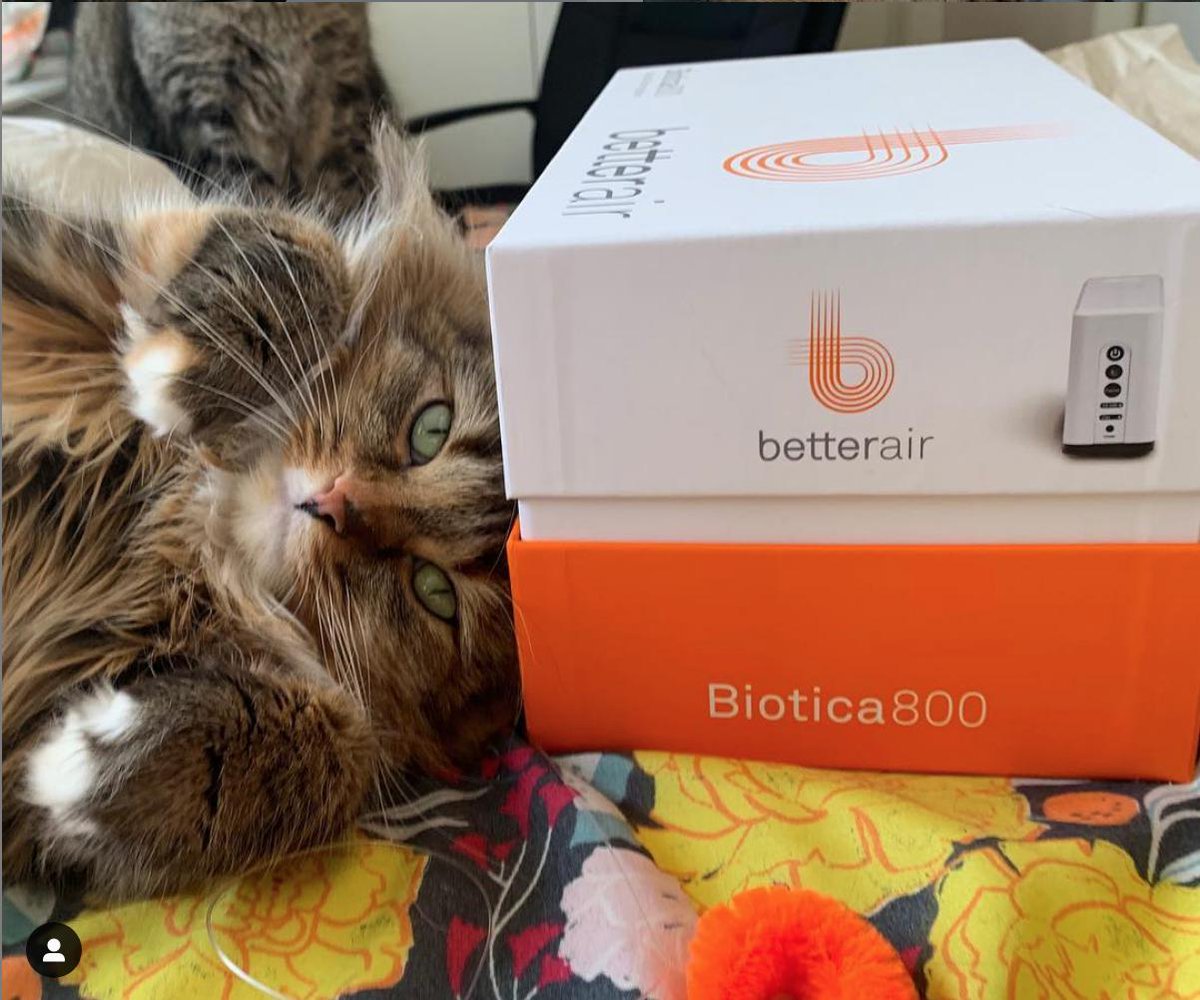 "I highly recommend using this purifier if you suffer from allergies or just want better air." Thank you @smittenbgkitten for the kind words! We are so happy that your allergy symptoms are improving with the help of the Biotica800.

 Claim your $50 off! buff.ly/2CUnL6M