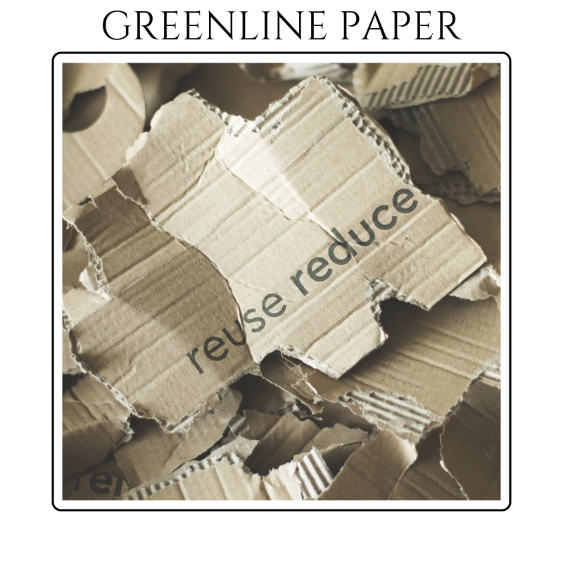 greenlinepaper's tweet photo. Have you seen the 100% post-consumer waste category on our website? 😃 Check out how you can be greener today! ♻️ https://t.co/uLS9Rwah32