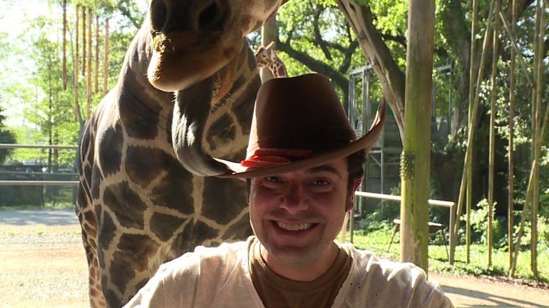 KennyLopez_TV's tweet photo. The giraffes sure do like carrots! I tried to hide the carrots on my hat, but these smart, magnificent creatures found their snacks! @AudubonNature #AudubonZoo #ILoveAudubonZoo #giraffes #giraffeconservation #zootodo #feedingtime https://t.co/d86vrfT8uM