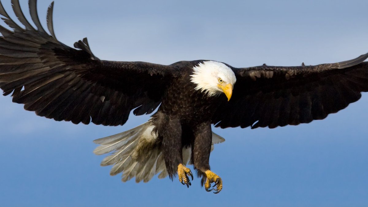 Karīm al-Hussaynī Āgā Khān IV. (Wikipedia)

Alamut Mountain, which means eagle's nest in Persian, has a similar value for the Isamilis around the world, mainly for reflecting the devotions of Hassan-i Sabbah! #proudismaili