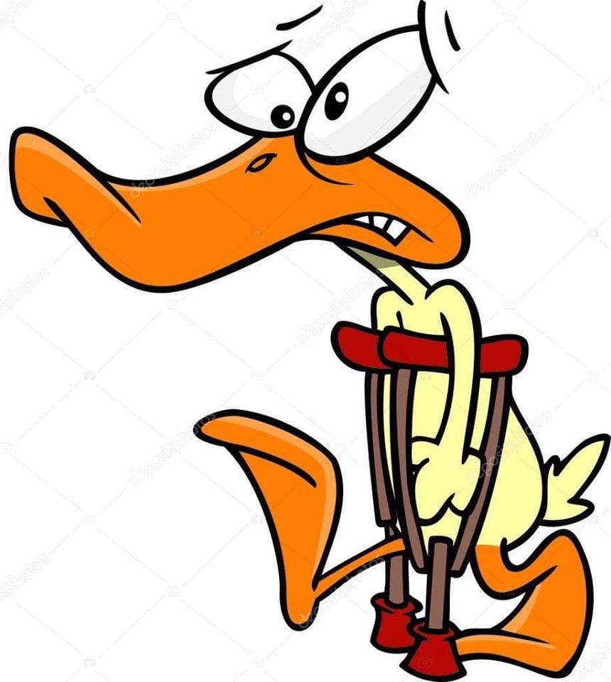 cinlarzuhal9's tweet image. #TOPAL ÖRDEK 
deyimi ne anlama gelir?

"YETKİSİ KISITLANMIŞ YÖNETİCİ "

İSTANBUL BELEDİYE BAŞKANI
EKREM İMAMOĞLU
ANCAK BELEDİYE MECLİS ÜYESİ ÇOĞUNLUĞU BİZDE 
YANİ MALUMUN İLÂNI 👇

EKREM İMAMOĞLU
İSTANBUL BELEDİYE BAŞKANI 
#MazbatayıVer Topal, mopal biz idare ederiz.