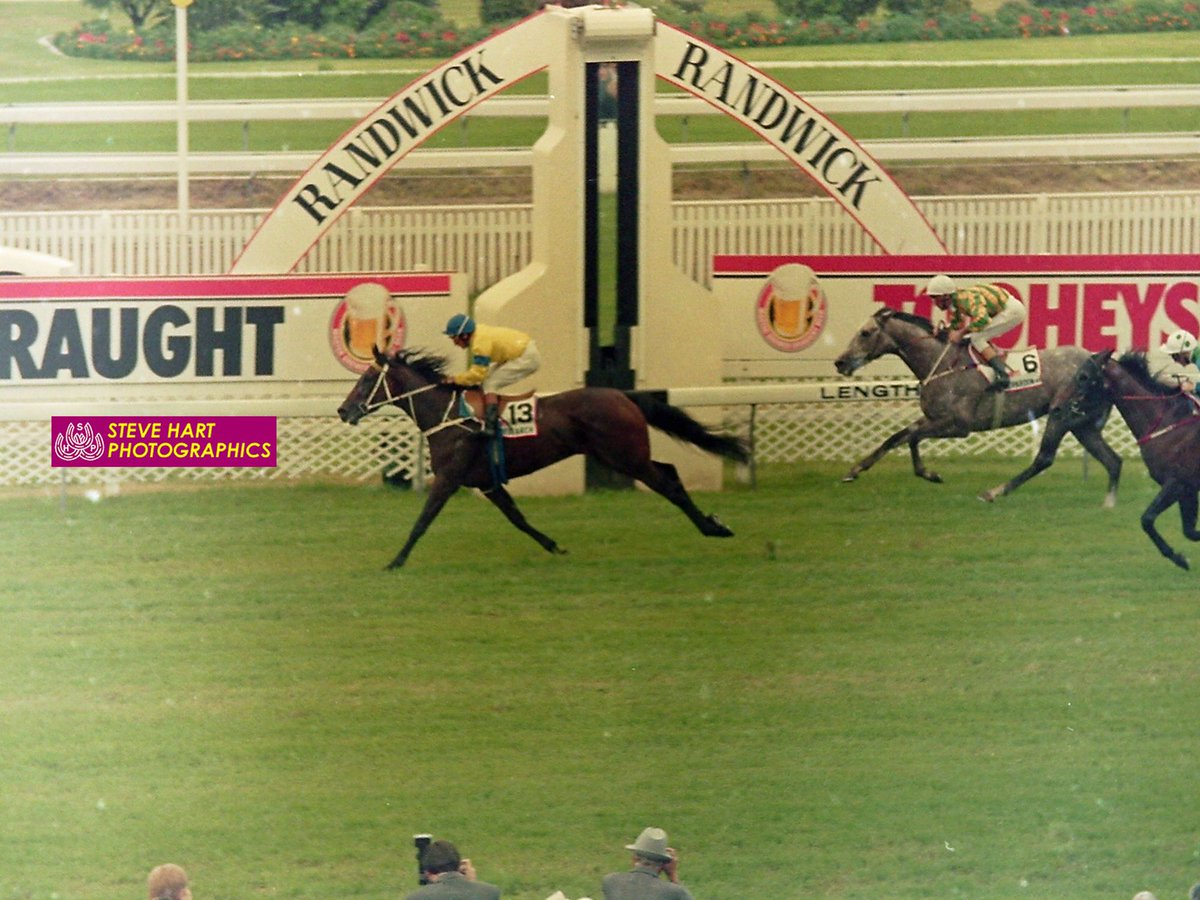 johntappracing's tweet photo. Precious few fillies have won the Australian Derby. We have a story of the 1989 winner Research. She was a cranky girl, but had a big engine! What a job she did. https://t.co/vGx41GuPT7 @inglis_sales @InglisDigital @SkyRacingAU #horseracing #clarryconners #tappy #johntappracing https://t.co/kkgxL38u9R