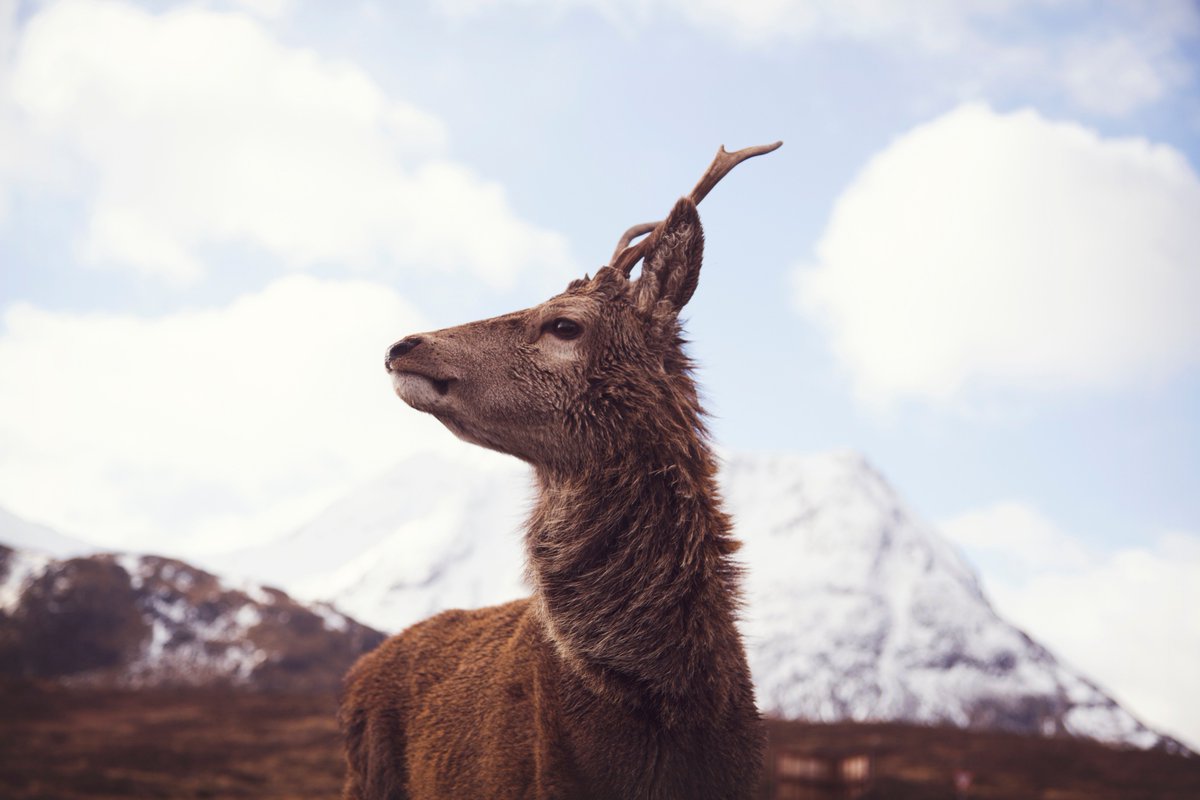 PatriGarrigos's tweet photo. Amazing Highlands
https://t.co/hYj6EqNR7L https://t.co/zUPAgbTHYN