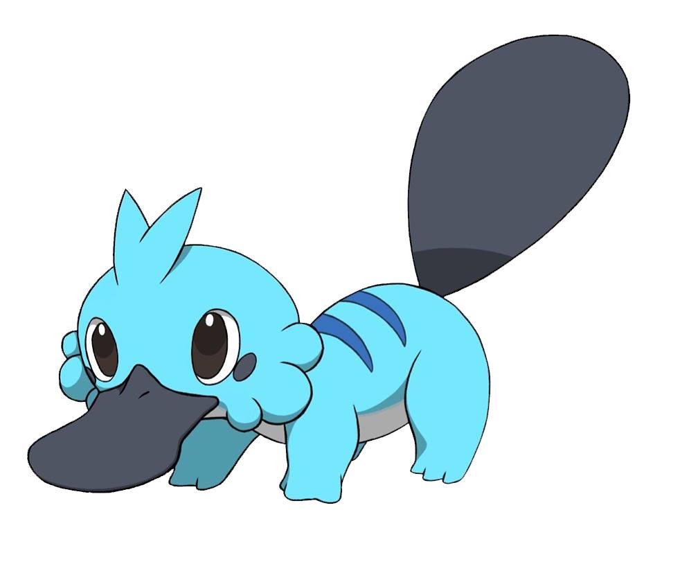 psycho platypus pokemon psycho platypus pokemon