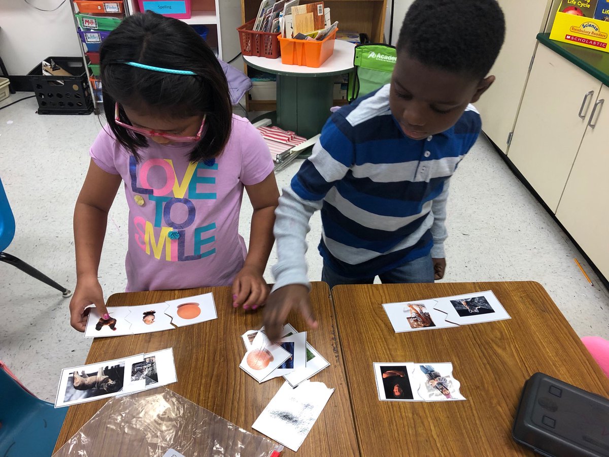 Millerbn2010's tweet photo. Students dive into learning about life cycles! #wearedegan https://t.co/Rv0nl3KPHH