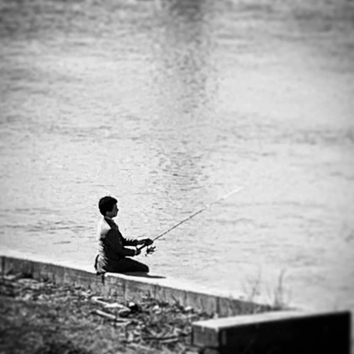 Webster Station tweet media