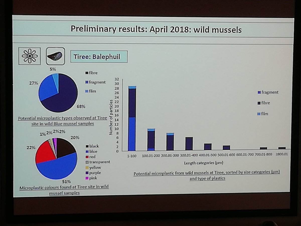 FreyaPellie's tweet photo. Really interesting talk today by @lola_paradinas looking at different methods for sampling coastal microplastics - including some great ideas for controls. Image of preliminary finds from wild mussels.  #SEECC2019 #microplastics https://t.co/7Z8J9jrtWw
