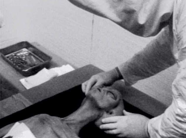 Great Connections tweet media