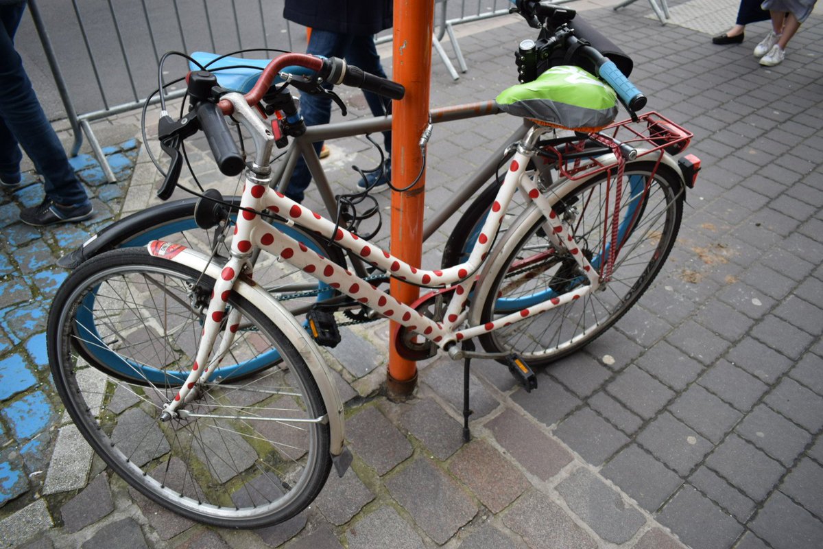 PaleoHidalgo's tweet image. Un día de ciclismo en Flandes 
#DDV19 #FlandersClassics