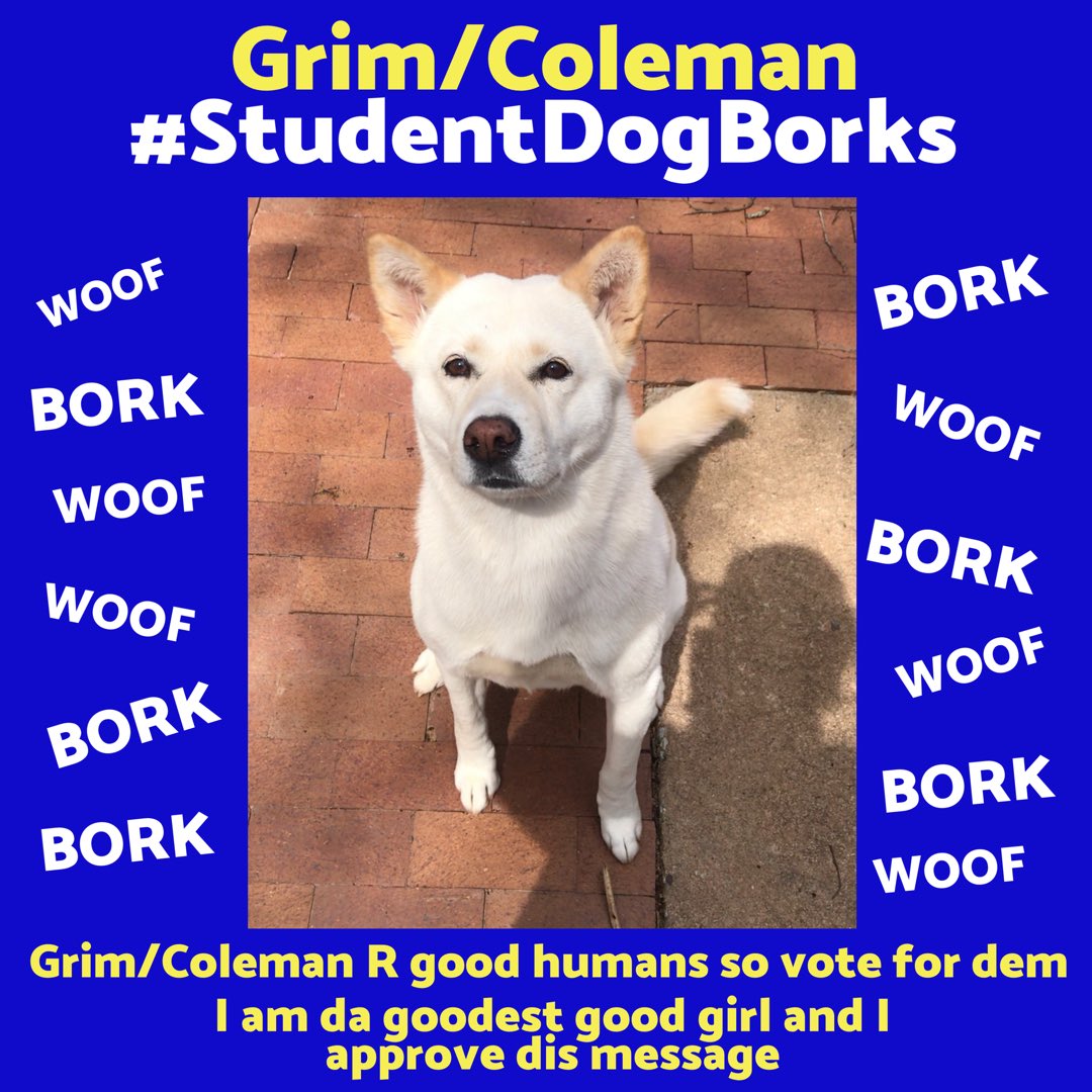 VOTE <a href="/GrimColeman19/">Grim/Coleman ‘19</a>!!!!! #StudentVoices #StudentDogBorks