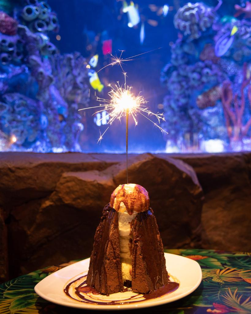 Rainforest Cafe on Twitter "Volcano > Birthday Cake Like this if you