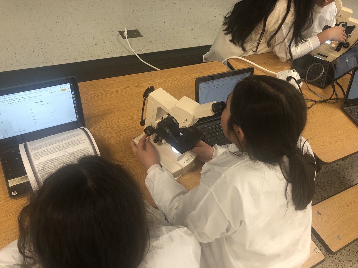 MsPrebeck's tweet image. Investigations are happening with our Forensic Scientists! #whostolethegold #edgeplus #hornetsdeserveit19 @SullyES_LCPS @MrsKnickmeyer5 @frostyin3rd