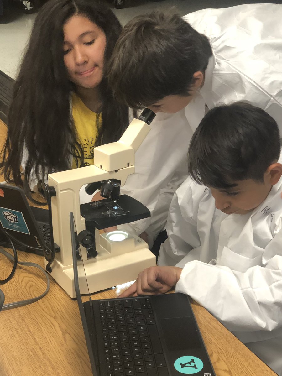 MsPrebeck's tweet image. Investigations are happening with our Forensic Scientists! #whostolethegold #edgeplus #hornetsdeserveit19 @SullyES_LCPS @MrsKnickmeyer5 @frostyin3rd