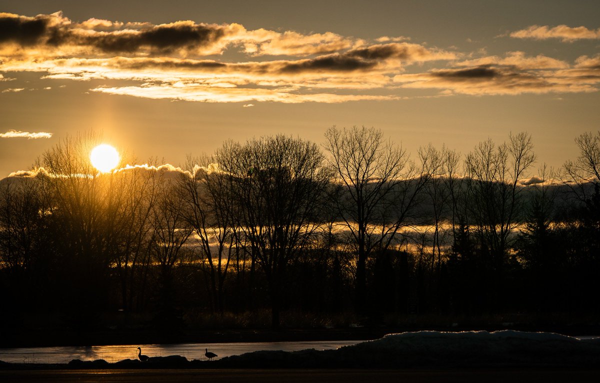 dougsundin's tweet photo. The sunrise in Oshkosh is gorgeous. #sunrise #oshkosh #wi #wisconsin #park https://t.co/jluo8B37fe