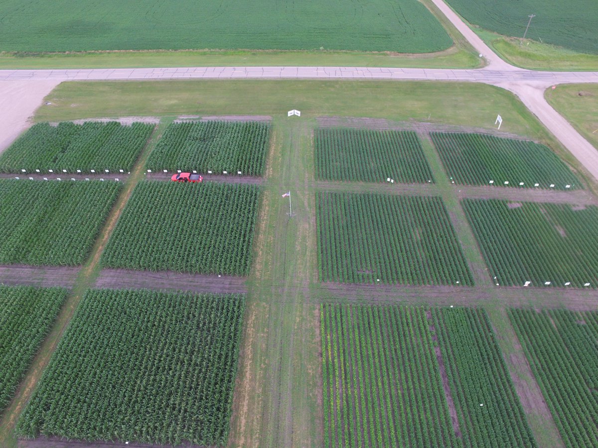 NorthStarAg2's tweet photo. Want to be able to check on your crops from the air...but don't have a plane? Next best thing is a DRONE. Call us to get one for your farming operation to check on plant health through the growing season. @sentera_uas @SengerMichael @ReedErickson1 https://t.co/fEY7u4HyOP