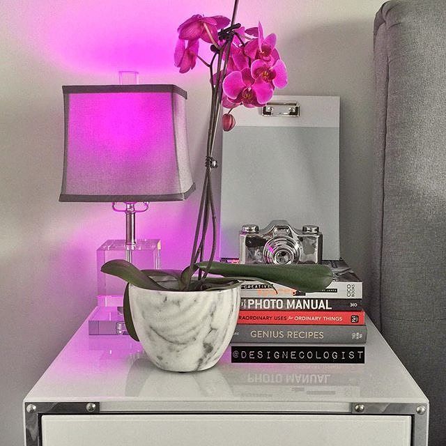 BuyrInc's tweet photo. Match your light with your floral arrangement to bring the #spring vibes indoors. Shop the Philips hue collection for less at https://t.co/TVinExoO61 --> https://t.co/ZSsvkJdUrg
.
#SpringFever #PhilipsHue #HomeDecor #Regram #Philips
#unlocksavings #ShoppingEngine #ExclusiveDeals https://t.co/dOEQVwL53r