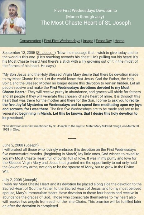 TheBread_OfLife's tweet image. Today we practice the #1stWednesday Devotion to the Chaste Heart of #StJoseph is
5 #1stWednesday w/ #HolyRosary &amp;amp; #HolyCommunion
Pray the Joyful Mysteries Meditate for 15min on the joys &amp;amp; sorrows of StJoseph as head of the #HolyFamily
#petersbarque
#CatholicTwitter
#TeamJesus