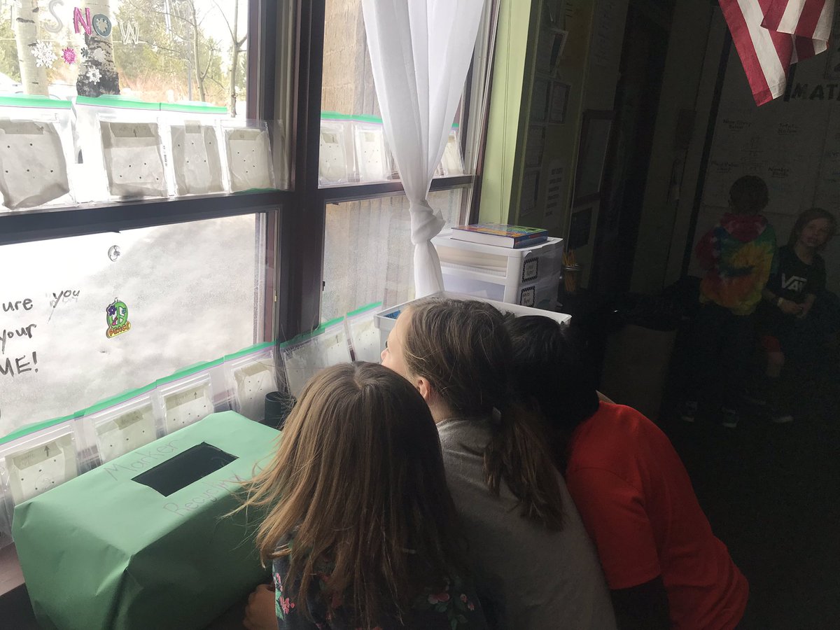 robinsonfrisco's tweet photo. 2nd grade scientists making observations and planting seeds. We can’t wait to see the changes! Ask a 2nd grader what plants EAT? #mysterydoug @FREprincipal https://t.co/oULnysUCLi