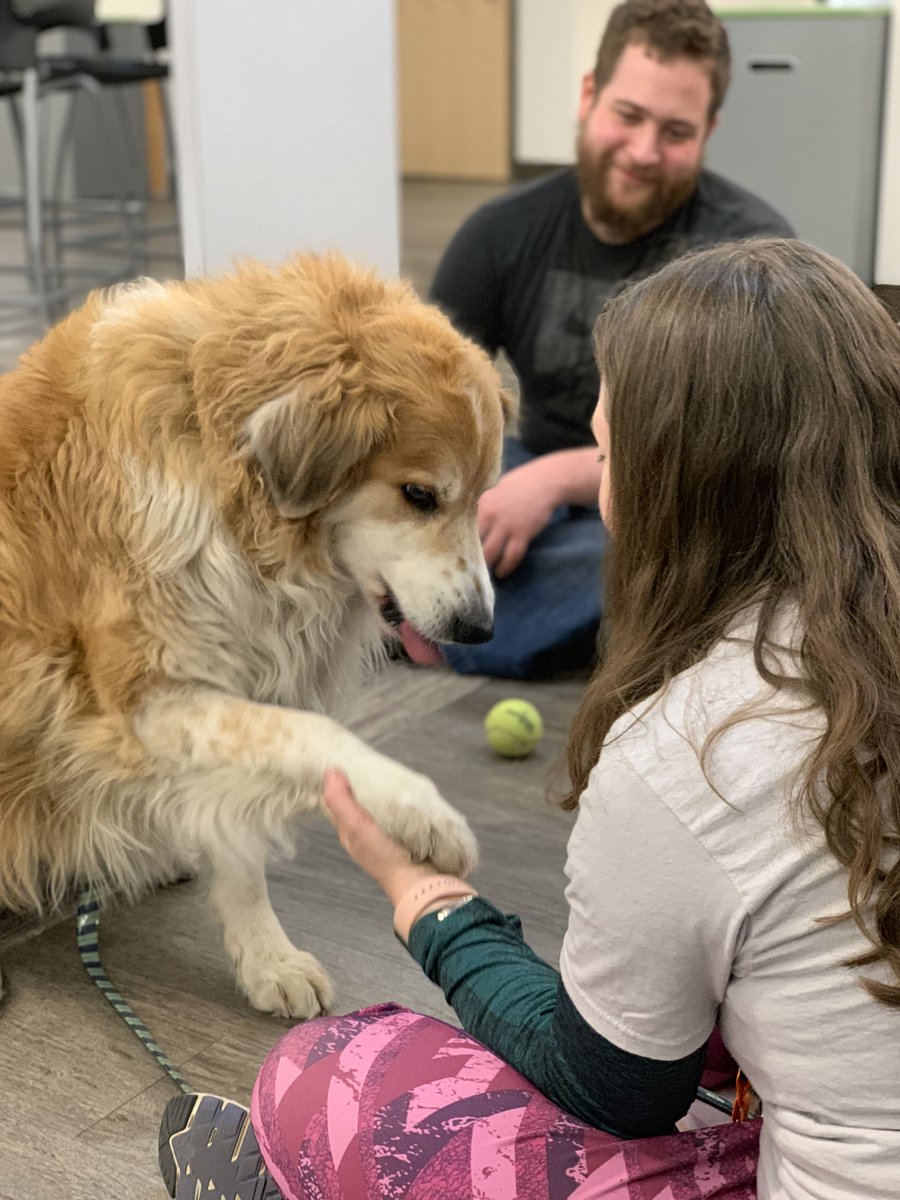 inicmu's tweet photo. What an adorable way to de-stress! We are so grateful to the #PawsToRelax volunteers and puppies for visiting the INI last week. #cmusocial #gradschool https://t.co/OUKpe3IClk