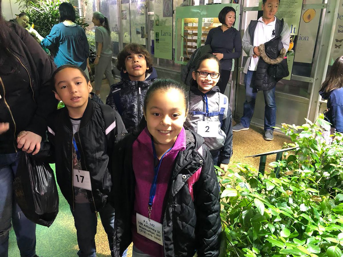 All of second grade went to the Museum of Natural History today. They got a chance to go to the butterfly conservatory! 🦋
.
.
#americanmuseumofnaturalhistory #butterflyconservatory #classtrips #iloveny #district1nyc