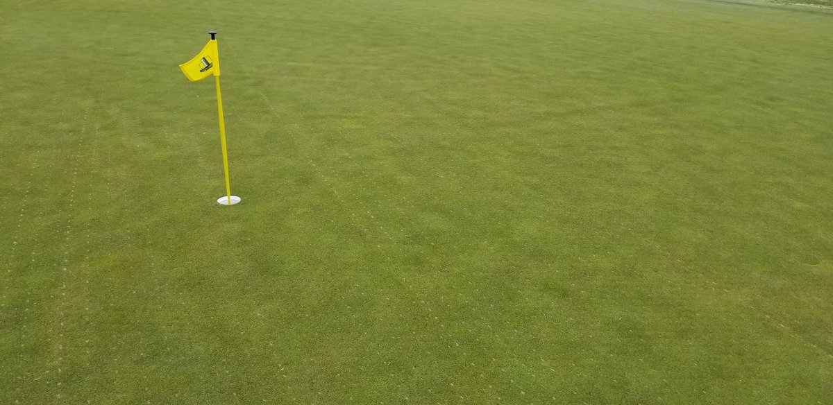 Got 7 of our 20 greens done a day ahead of expected rain, looking fabulous! Definitely loving the process of DryJect! #HealthyRoots #HealthyGreens @DryjectTN