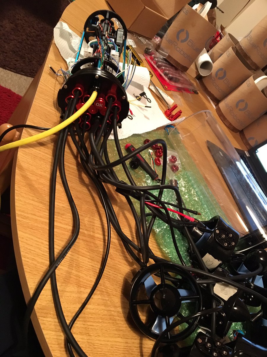 Dr Alice Hall tweet media