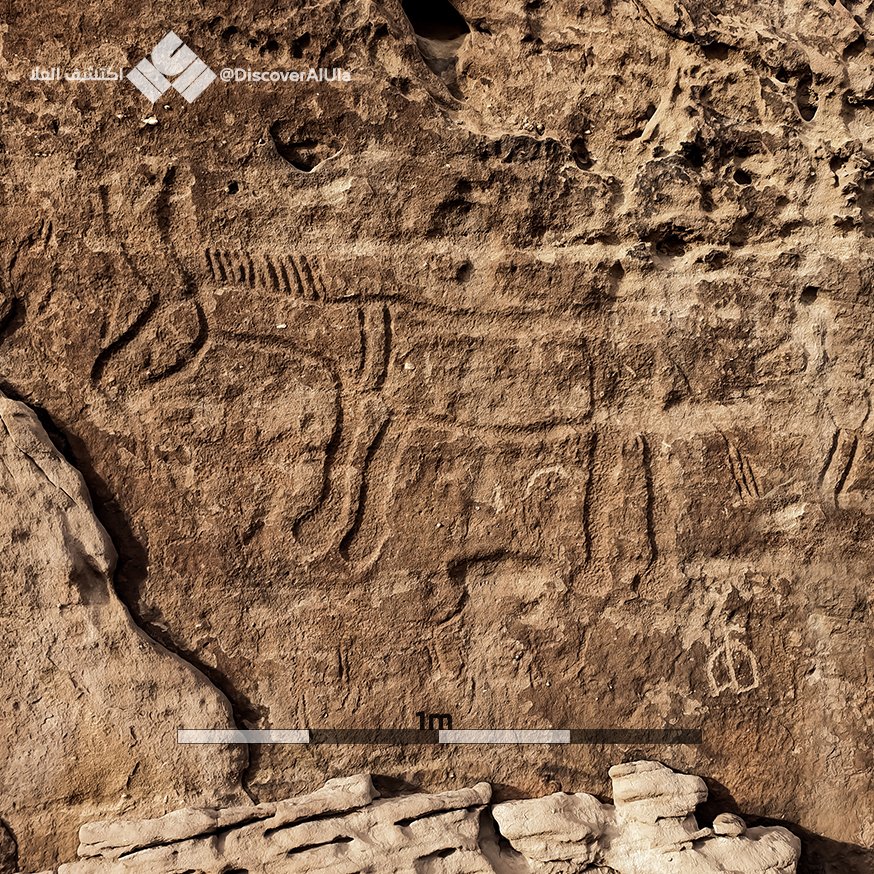 مكان في #العلا عبارة عن  معرض فني للرسم على الصخور بمهارة دقيقة وإبداع في التفاصيل. يحتوي على عشرات النقوش من أزمنة مختلفة وبأحجام وأنماط متنوعة. رسوم الحمير والبقر فيه تشبه الرسوم في منطقة راطا والمنجور وجبل العهين.

#اكتشف_العلا
#DiscoverAlUla
#نقوش
#Archaeology