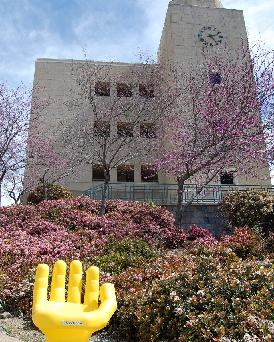 CSUSMCC's tweet photo. Spring is in full bloom 🌺 You may not be on campus this week but our Handshake chair is! 💺Can you guess where it's soaking up the sun? ☀ Let us know on our Instagram post!
#whereiswednesday https://t.co/vamCftRWao