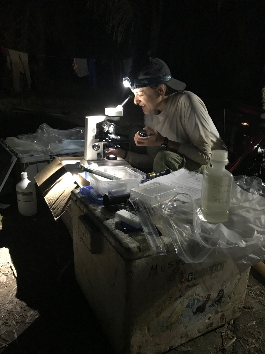shedd_aquarium's tweet photo. What's it like to rescue Bolivian river dolphins from a shrinking lake? Shedd's #AnimalResponseTeam did just that, joining a rescue effort with @marylandzoo, @stlzoo and more last fall. Read all about the remarkable experience on our blog: https://t.co/248iASNneD https://t.co/XJi0Nfdet9