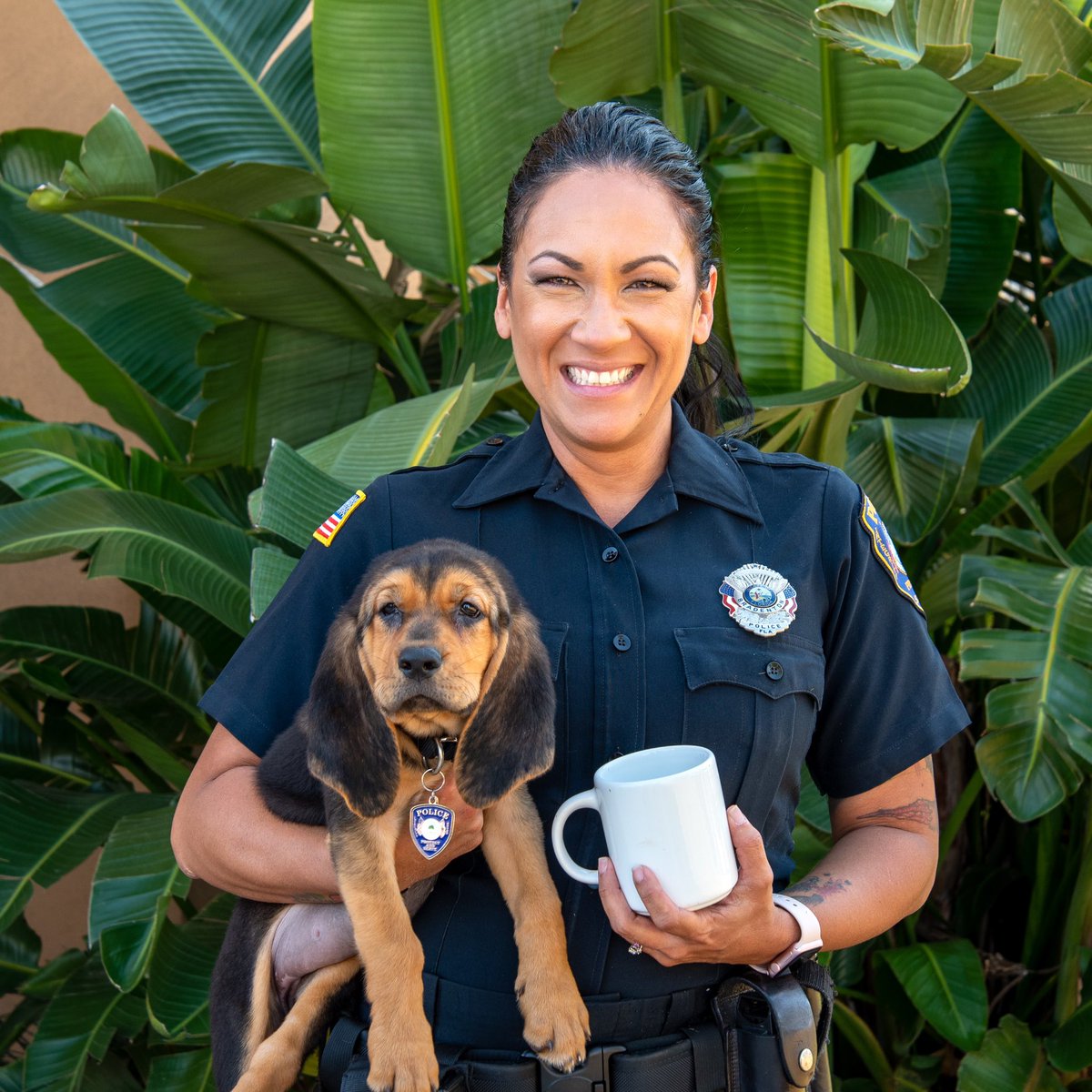 Come by our “Coffee with a Cop” tomorrow morning and meet our new bloodhound. She will be with her handler Detective Lixa Moyett. When trained, she will specialize in finding missing children and adults. 8 AM to 10 AM.