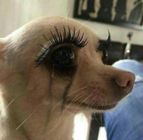 algophobiaCrypt's tweet image. 