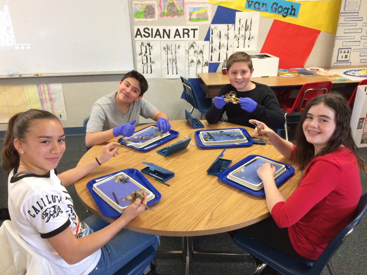SnowlineAcademy's tweet photo. Our last 7th grade dissection of the year @SnowlineAcademy ... Frogs!🐸 @SnowlineJUSD @RHolmanSJUSD https://t.co/dZavTVA7WG