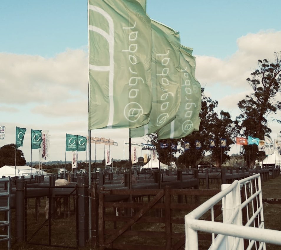 agrobaluy's tweet photo. Comenzó @expomelilla y Agrobal hace presencia con “El Poder de lo Natural”
Descubrí nuestra propuesta para tu producción en https://t.co/mJ5UJUQ5Gi
#angus #heredord #Holando #lecheria #cerdo #pollo 🐄🐓🐂🐖 https://t.co/rLBC4c248w