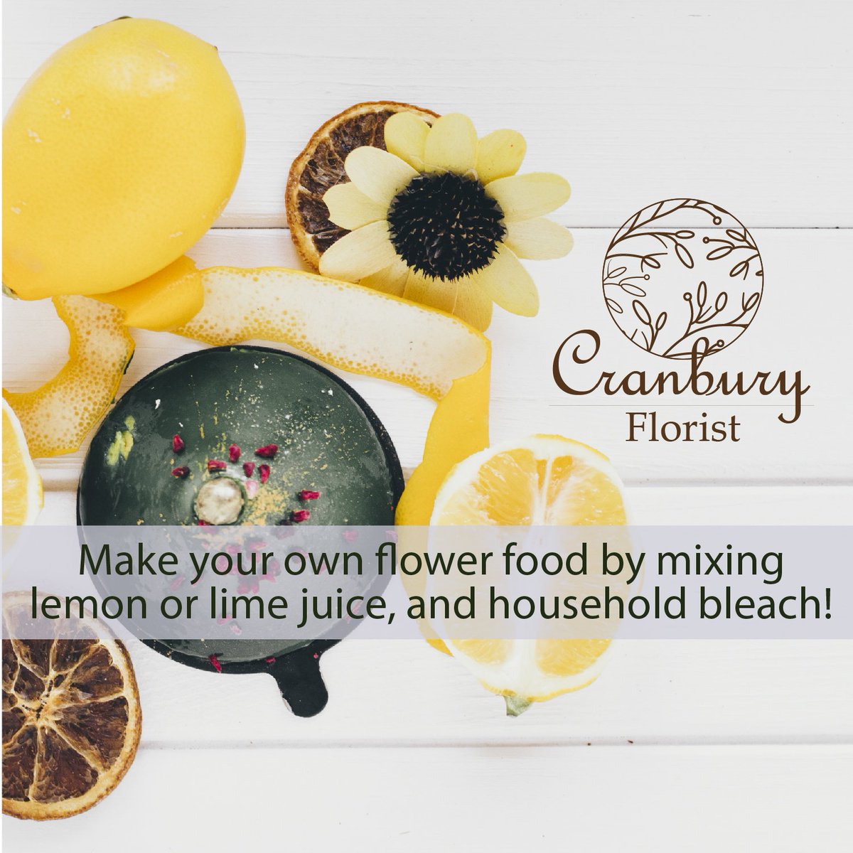 Try this out! #ordernow #flowershop #flowermagic #Tulips #cranbury #newjersey #flowerstagram #flower_super_pics #flowerbouquet #flowerlove #flowerlovers #flowerboutique #florist #flowers #Floristry #flower_special_ #flower_perfection #tips #flowertips