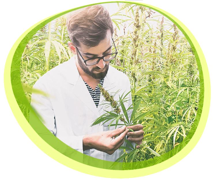 KPrimeTech's tweet image. With the complex and rapidly changing laws around medicinal and recreational marijuana use, Agilent instrumentation is at the forefront of efforts to ensure quality control and to conduct screening and research.

tinyurl.com/y784njp5

#agilent #hplc #cannabis #analysis #kprime