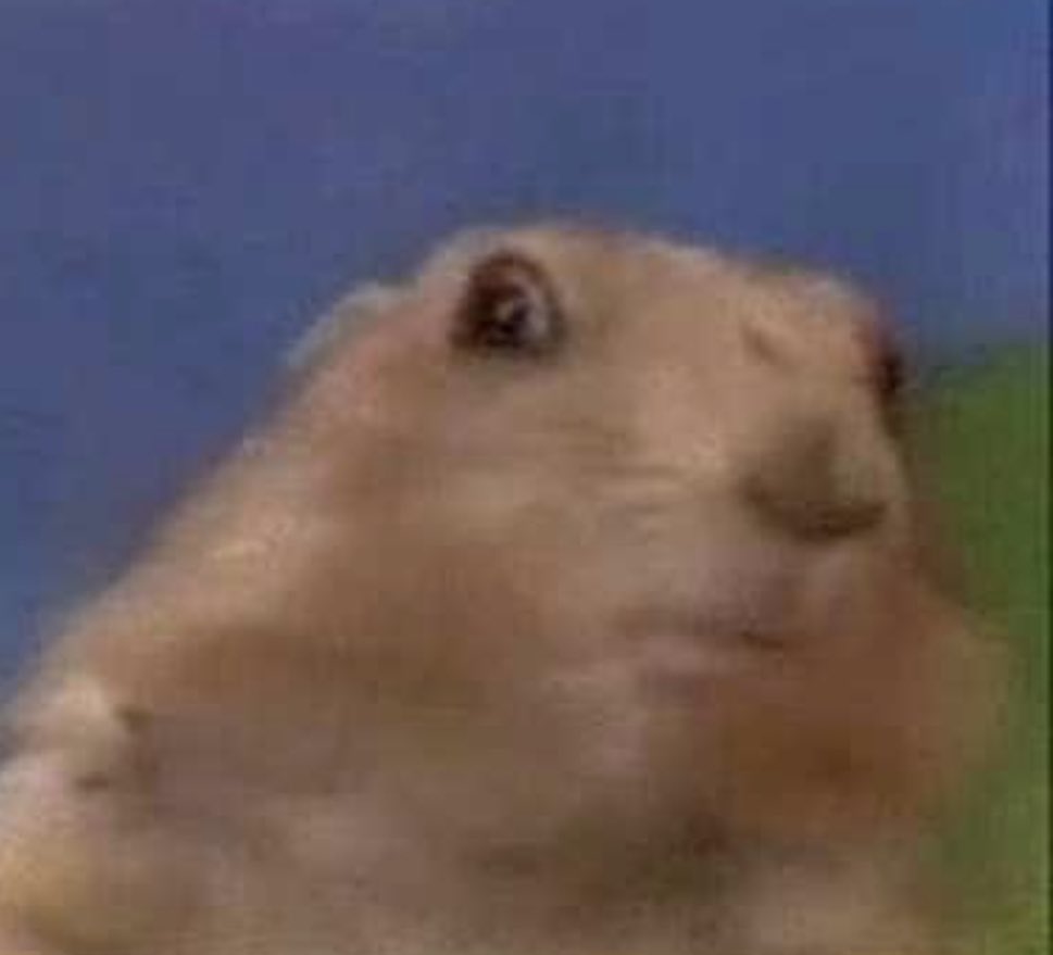 archivepeteraul's tweet image. 