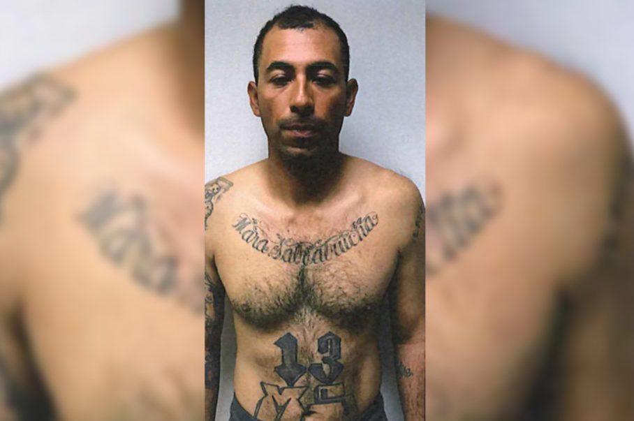 William Umberto Martinez Chavez MS13 killer arrested in Long Island