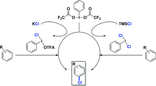 EurJOC (@eurjoc) on Twitter photo Adelina Vallribera et al. report the Electrophilic Chlorination of Arenes using In situ Generated Hypervalent Iodine Reagents <a href="/UABBarcelona/">Universitat Autònoma de Barcelona</a> doi.wiley.com/10.1002/ejoc.2… Adelina Vallribera et al. report the Electrophilic Chlorination of Arenes using In situ Generated Hypervalent Iodine Reagents <a href="/UABBarcelona/">Universitat Autònoma de Barcelona</a> doi.wiley.com/10.1002/ejoc.2…