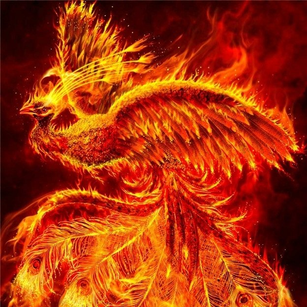 _FENIX_Ikki's tweet photo. #NuevaFotoDePerfil
#SSGDU
#AnimalForm
#Fénix https://t.co/j7wg5XK4ZP