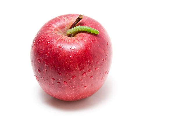 pemiepla's tweet photo. Sabían ustedes que una linda y tentadora Manzana puede ser devorada por gusanos hasta pudrirse sin darnos cuenta por fuera?  Así mismo podrían actuar nuestras debilidades dentro de nosotros. Por ello les invitamos a participar en el "Chocolate con Aroma de Amor" este 6 de Abril. https://t.co/g9OPIY5MI1