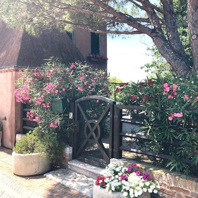 GoWanderGuide's tweet photo. A not so secret lovely garden entrance .....
-
-
-
#travel #travelblogger #travelers #travelarchitecture #dailyinspiration #decorworks #architecture #architecturedaily #globetrotter #globewanderer #adventureanywhere #peoplewatching #adventureculture #tra… https://t.co/xC59MCZulO https://t.co/1XNELXpNAu