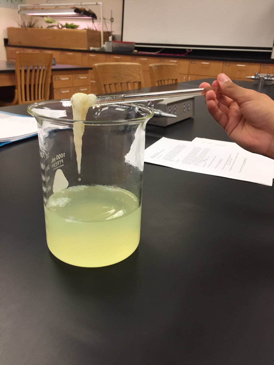 JustinBarenber3's tweet photo. @UNKBiol106  #106Week12PTS19
This week in lab we were shown how DNA can be extracted from an onion and it will stick to a glass stirring rod due to the silica in the glass. https://t.co/DHpKvh2Bre