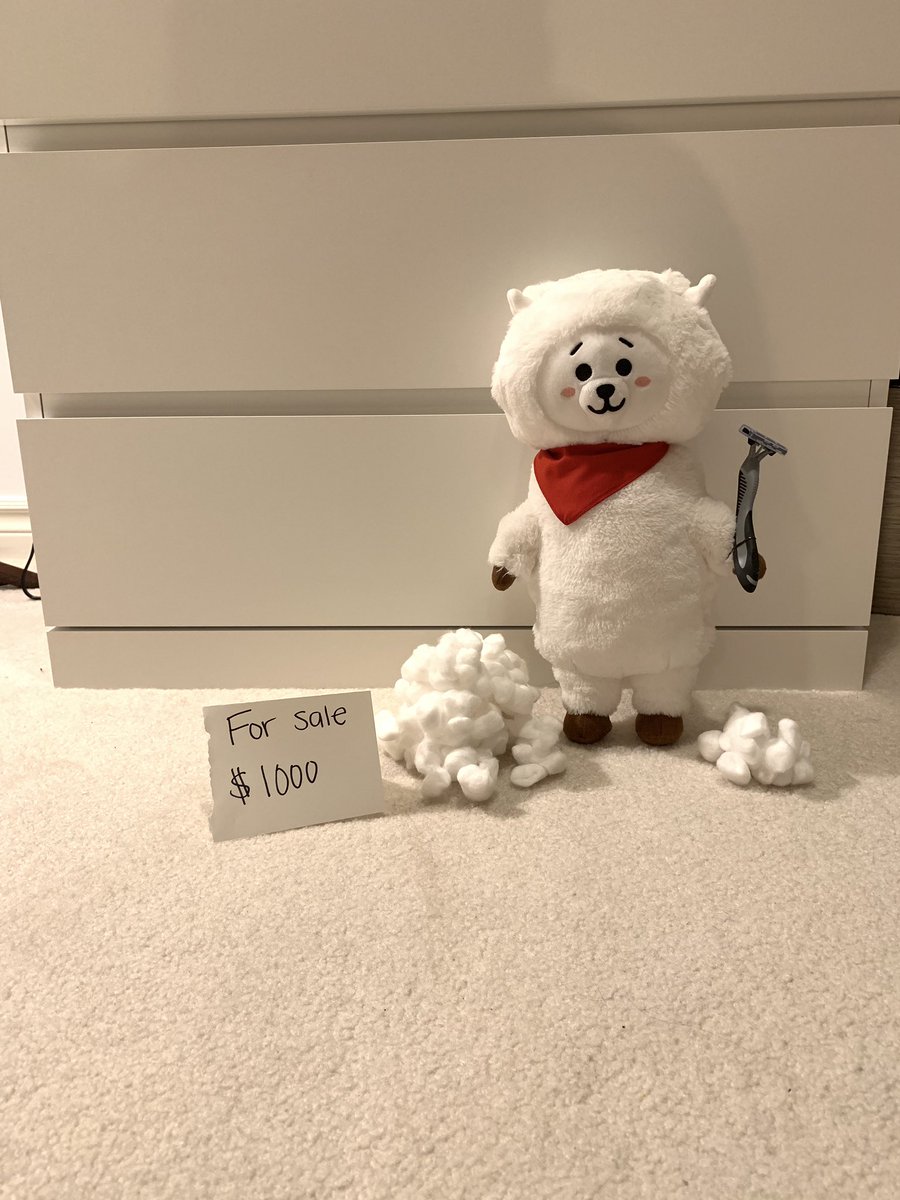 RJsDailyLife's tweet photo. It’s true, RJ and his family had to sell their fur for money https://t.co/xJhCcBGTdq