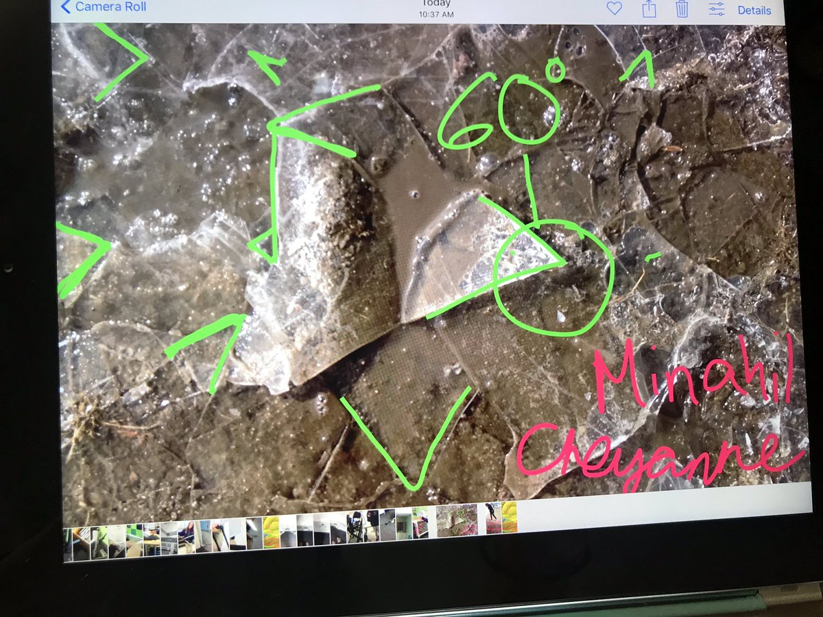 mtmsgrade6's tweet photo. We can’t help it, we are seeing angles everywhere! #teachoutside #tlap #mathonthemove https://t.co/PuBveCmVB2