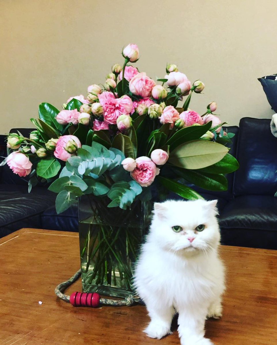 56 best Twitter u/love_yuna images on Pholder RIP 몽실\n1999.92019.3.