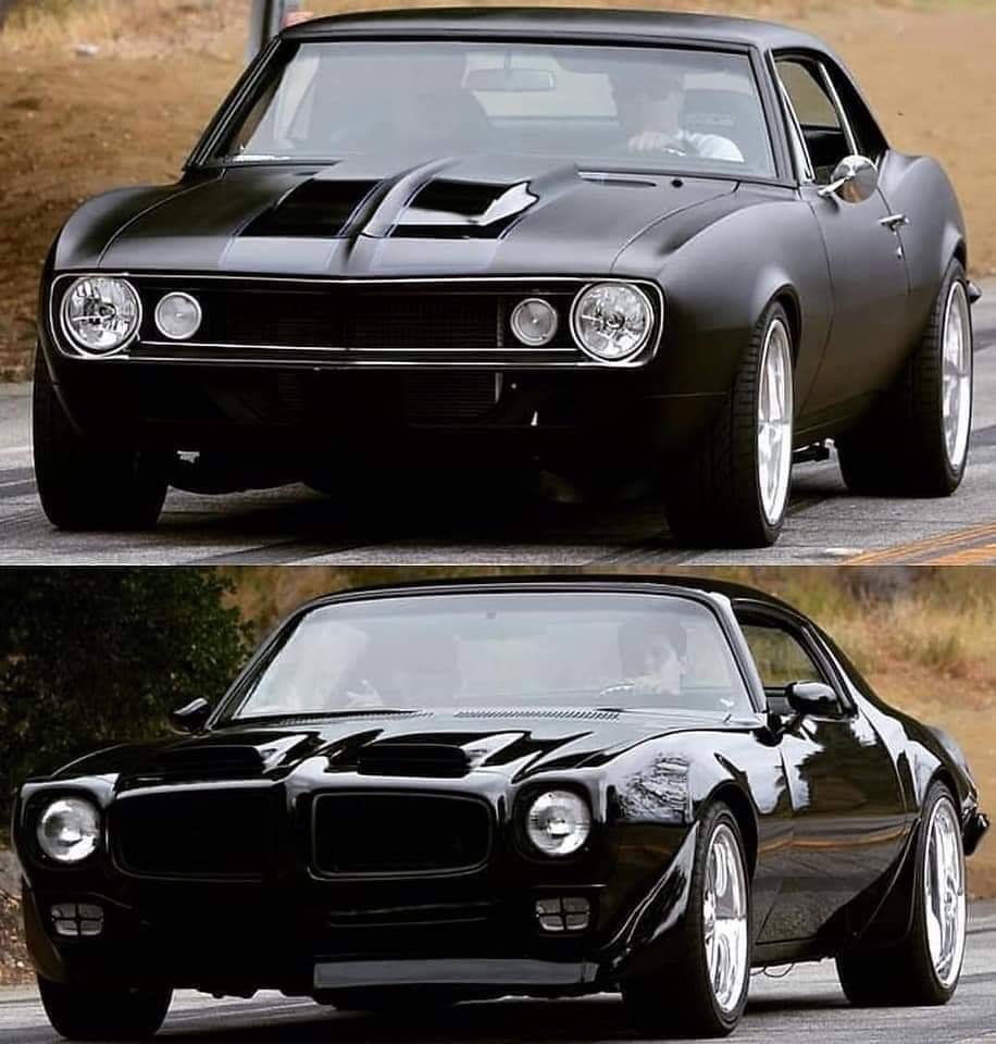 🏁 𝔹 ℝ 𝕀 𝔸 ℕ 🏁 tweet media