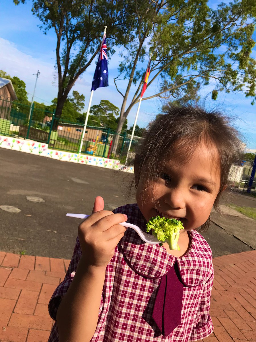 granville_ps's tweet photo. Did you know that only 5% of NSW children are eating enough vegetables?! In order to work towards improving this percentage, we need to increase children’s knowledge, exposure and positive attitudes towards vegetables! #vegetableweek #bigvegiecrunch #crunchtime #edchat #acuedu_p https://t.co/VyMtKIdEtS