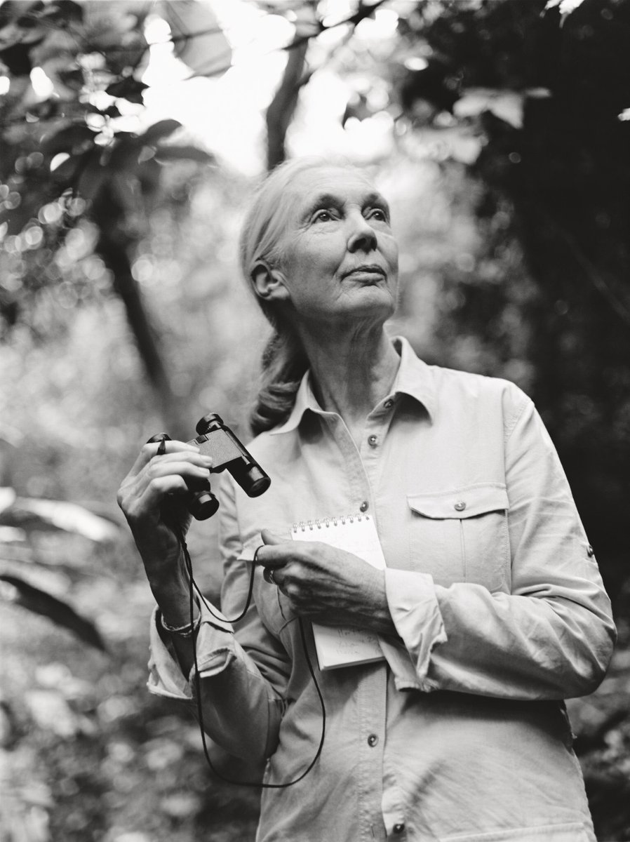 msstewartsays's tweet photo. Happy Birthday to one of my role models, @JaneGoodallInst 🐵 Thank you for all you have done for women in science. You were an inspiration to me as a child and helped me discover my love for animals and for learning! https://t.co/yH1JuqMk7a