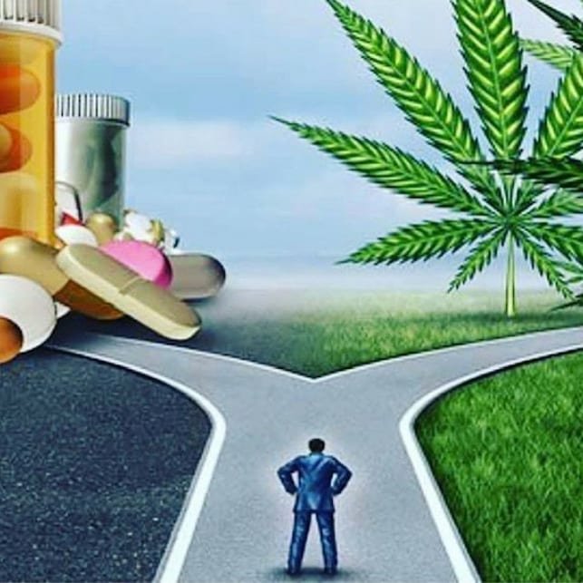 EasyBakedCanada's tweet photo. the road less travelled : From @freecbdsupplements
.
.
.
.
#marijuana #medicalmarijuana #cannabis  #cannabisculture #medicalcannabis #healthforall #cookiescannabis #dreads #hippies https://t.co/eNtUWbL6LC